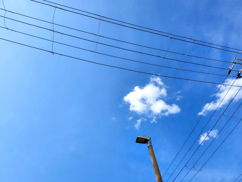 ご就職が決まりました!(障がい者雇用 / WEBサイト運営)by本町