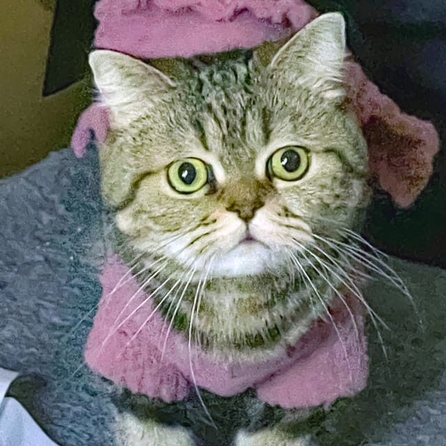 ご就職が決まりました!(一般雇用 / 医療事務)by本町