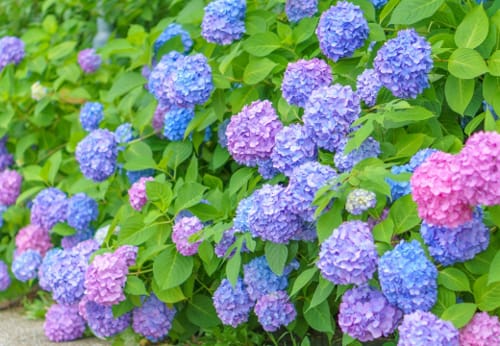 パッケージグラフィックデザイン訓練の作品紹介！by本町