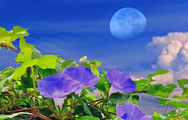 ご就職が決まりました！（障がい者雇用／事務補助）by 本町事業所