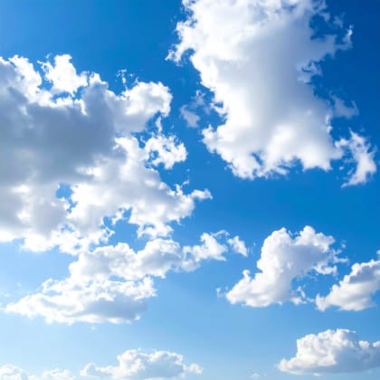 エルバイエルで学んだことも今後きっと色んな形で活かせられる